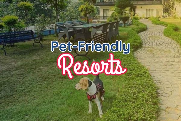 Pet Friendly Resorts in Rishikesh