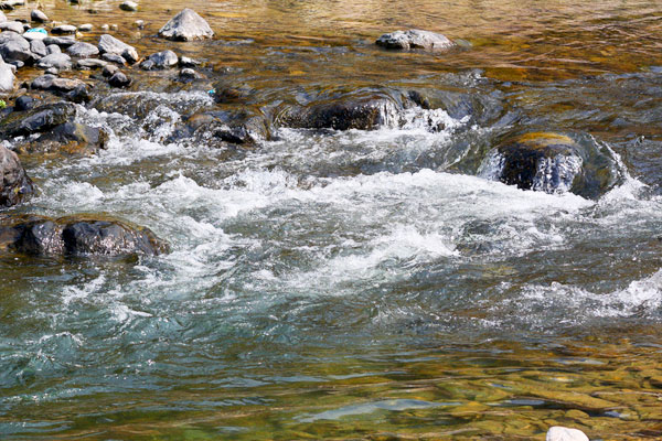 Camping in Rishikesh